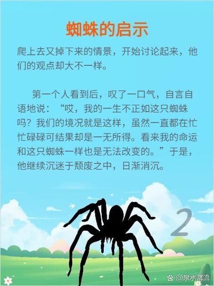 百度蜘蛛究竟偏爱哪些优质内容呢？