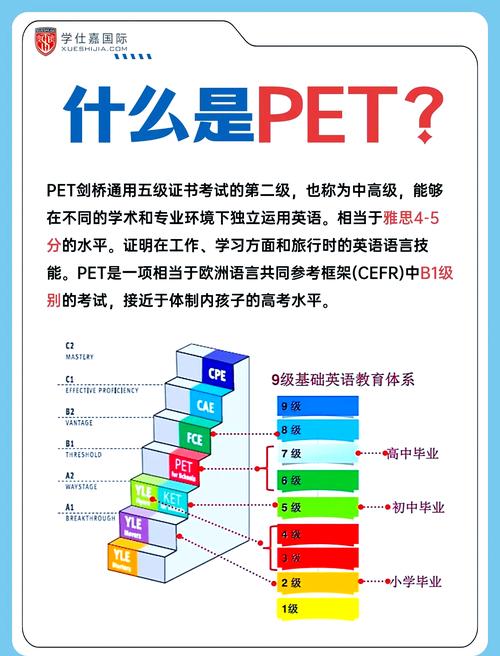 你如何确保对PetShop的分层架构有深刻理解？