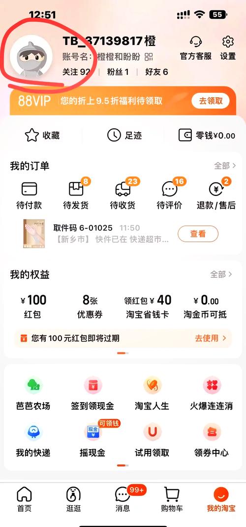 如何快速查看淘宝账单，揭秘爆款必看攻略？