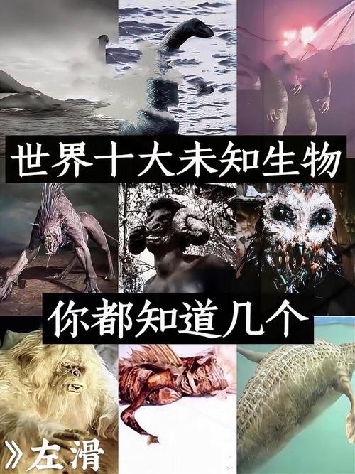 底栖基因数据库究竟隐藏着哪些未知的生物奥秘？