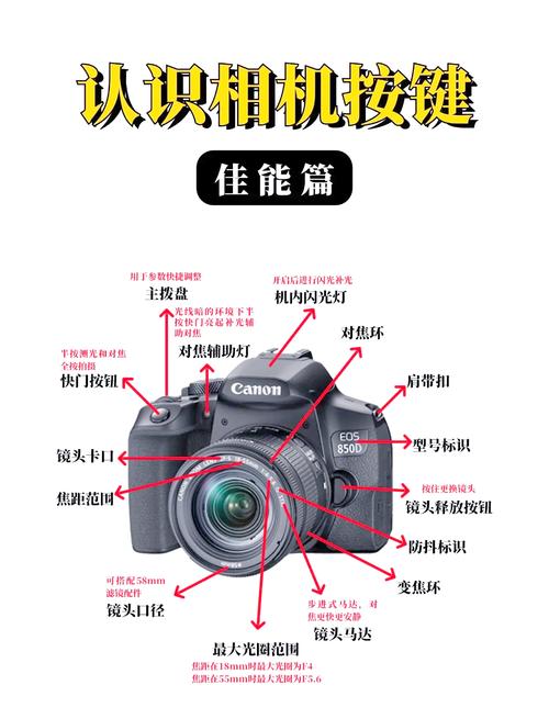 如何巧妙运用数码相机技巧实现高效拍摄？