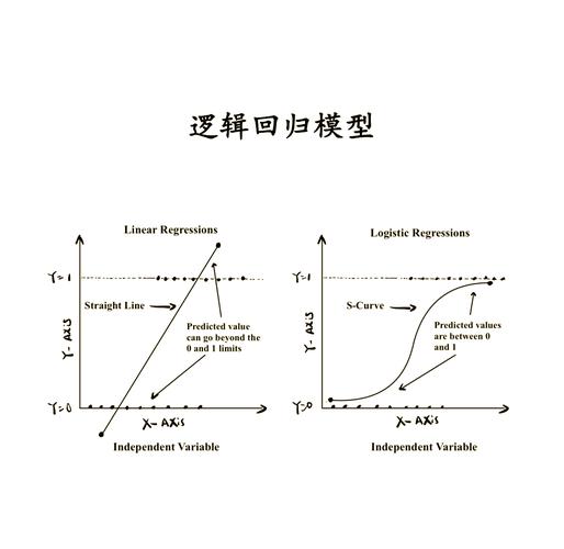 逻辑回归模型如何应用于预测分析？