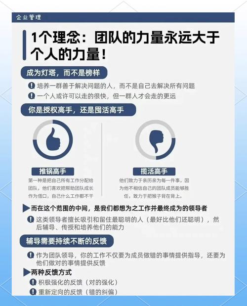 项城SEO优化，如何选择真正专业的团队呢？