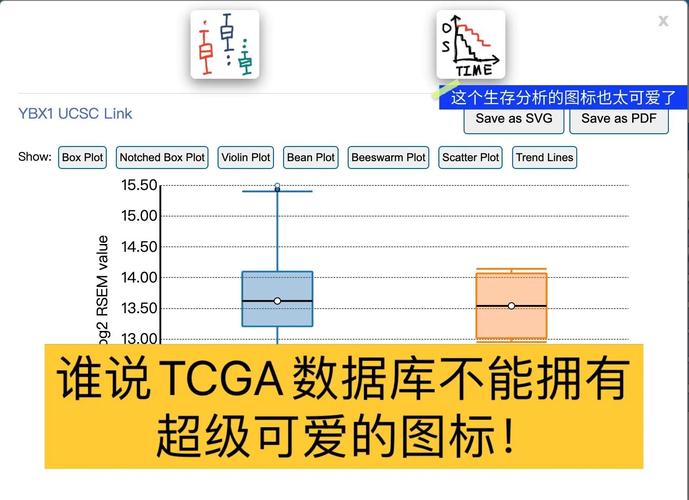 TCGA数据库究竟在支持哪些长尾领域的研究项目？