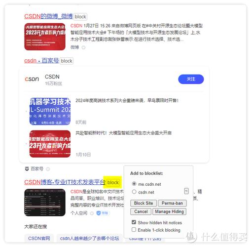 网站主页为何在谷歌搜索结果中难觅踪迹？
