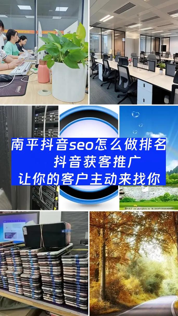 南平SEO哪家口碑最好，推荐哪家服务最专业呢？