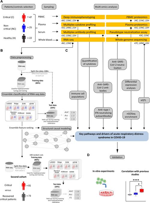 COVID-19-20改进VNet3D分割网络，混合损失如何改写为长尾？