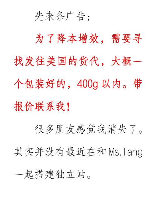如何用低成本搭建专业独立站平台，实现低价策略？