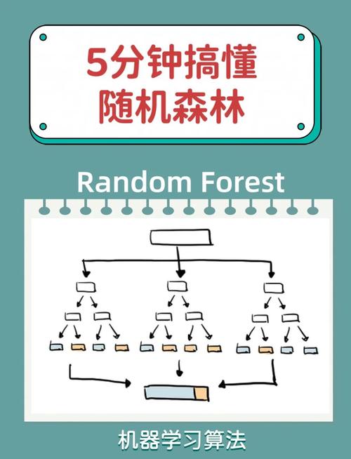 随机类中常见方法及其应用场景有哪些？