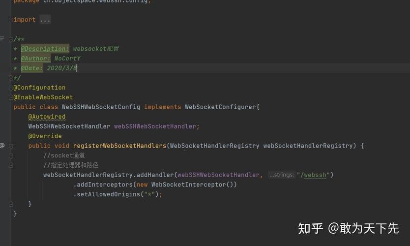 如何编写纯Java实现的WebSSH项目示例代码？