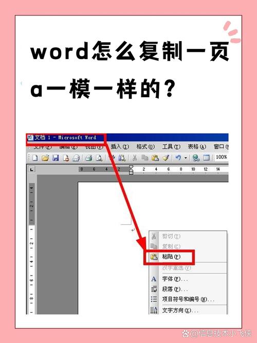 如何实现Word文档整页复制操作？