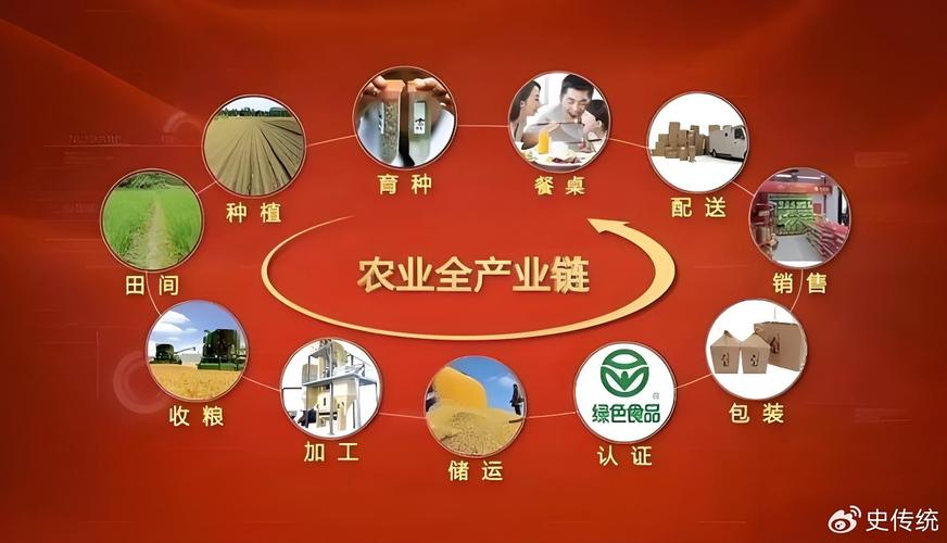 如何构建一个涵盖农产品从生产到销售的完整生态圈？