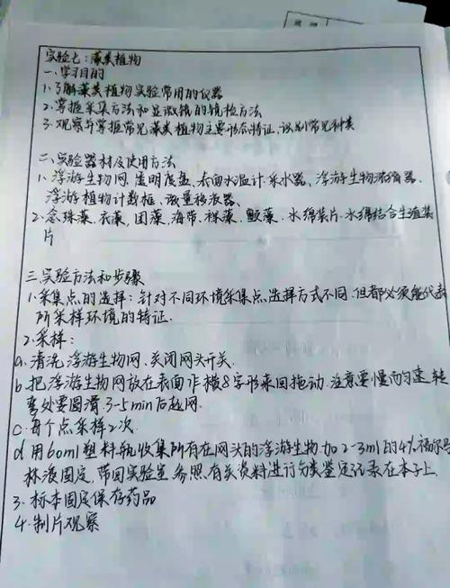 网页设计实验中分析与体会、探索与实践的心得是怎样的过程？