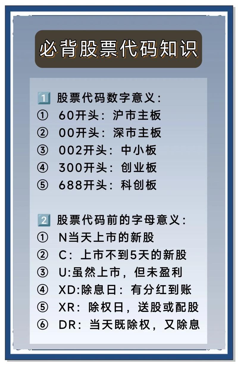 股票代码是什么可以用于查询向量数据库中的概念？