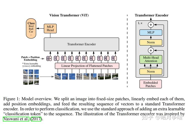 Vite.js预构建的流程是怎样的？