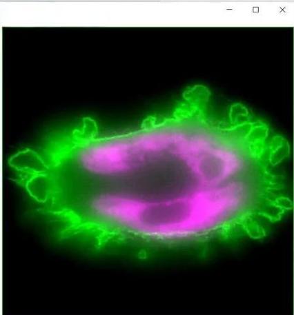 如何通过简单代码更改echarts横坐标文本颜色？