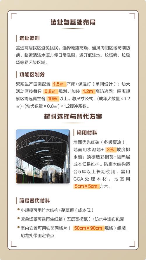 如何低成本搭建流浪狗救助独立站？新手避坑全攻略？