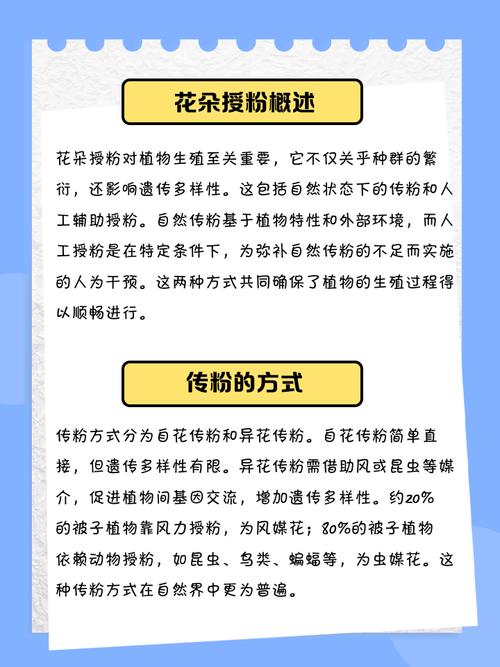 如何运用花朵授粉算法优化深度极限学习机进行数据预测？