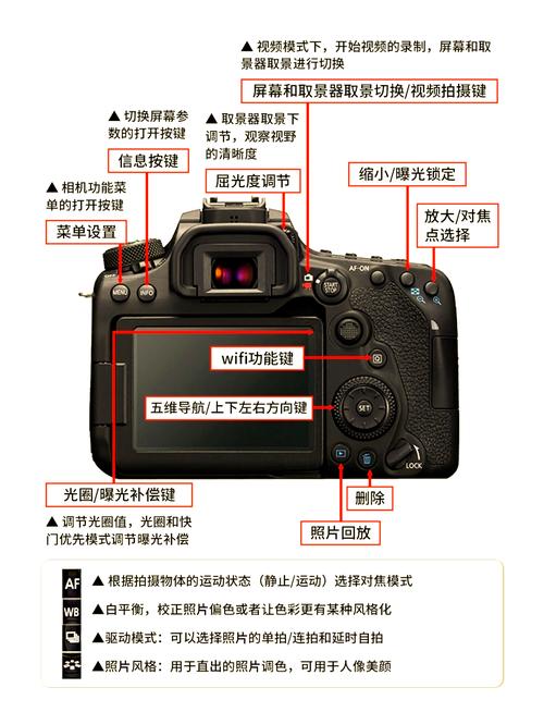 有哪些最实用的单反摄影入门教程适合初学者？