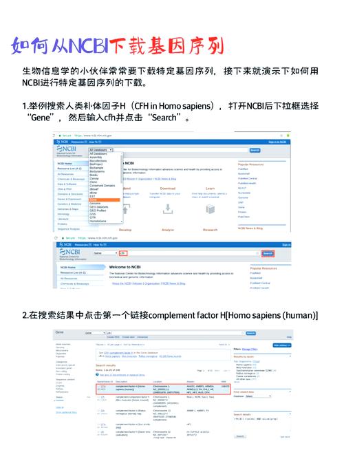 如何通过hbasescan查询实现长尾词搜索？