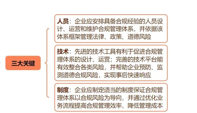 独立站能否售卖假货？法律风险及合规经营体系如何构建？