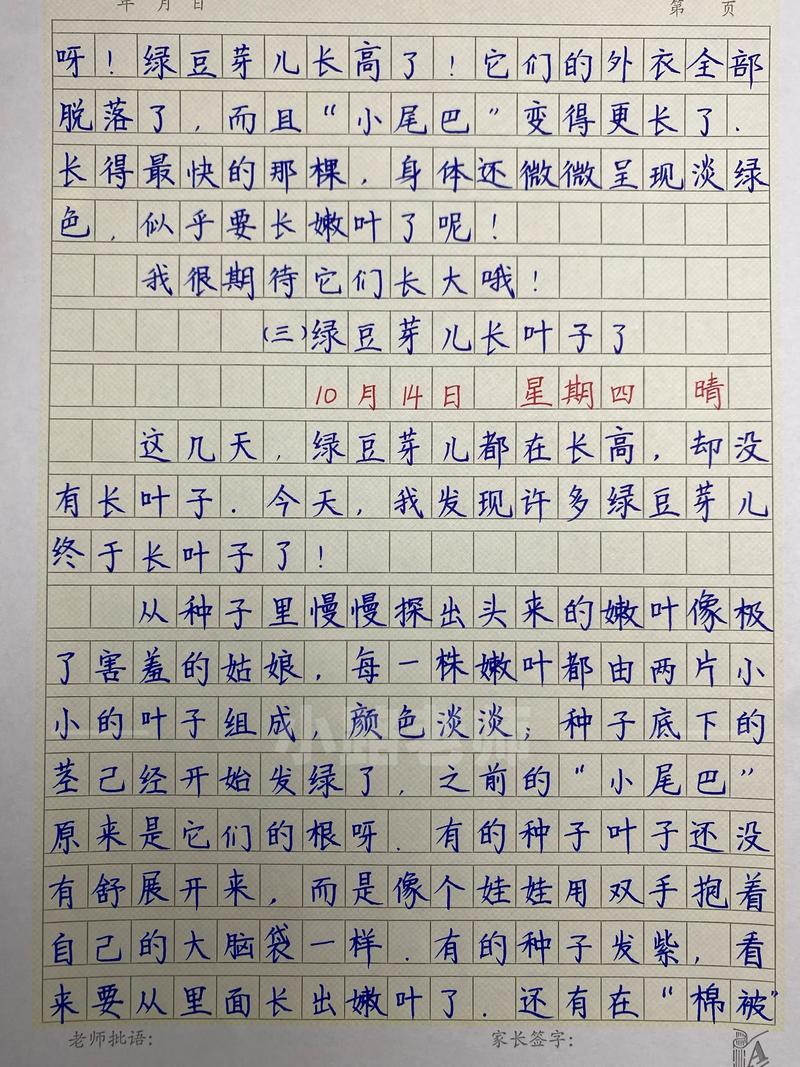 周记4的内容是什么？