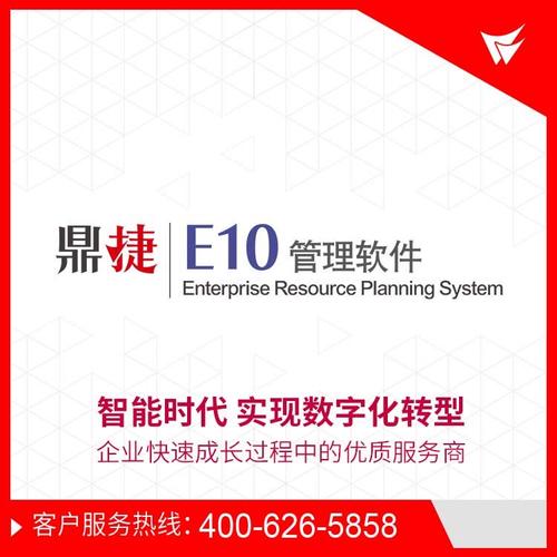 鼎捷e10所采用的数据库类型是什么？