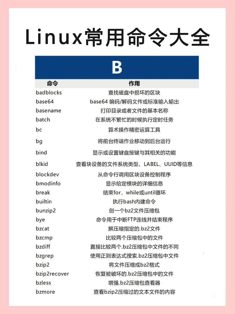 Django开发中都有哪些常用命令可以总结一下吗？