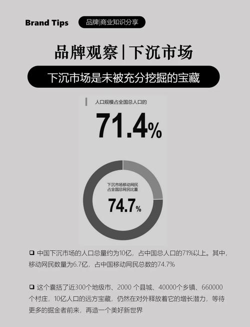 如何挖掘开拓蓝海，品牌潜能无限绽放的潜在价值？