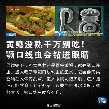 寄生虫EPG排名真相揭秘，百度搜索排名背后的秘密是什么？