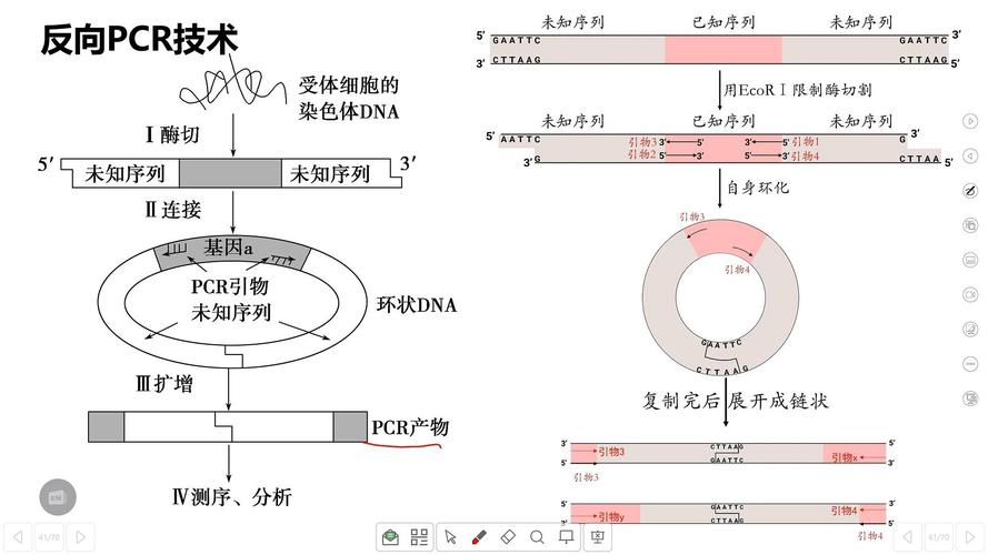 Phar反序列化具体过程和原理是怎样的？