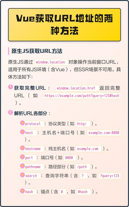 如何从Vue项目中提取URL参数值？