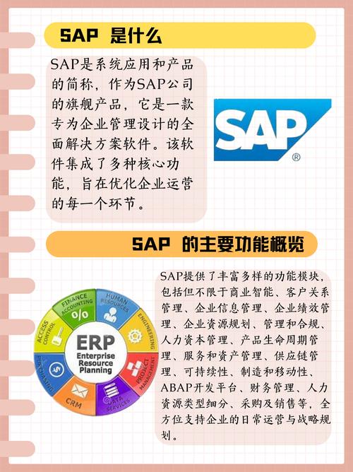 SAP与ERP实施项目在哪些方面存在根本性差异？