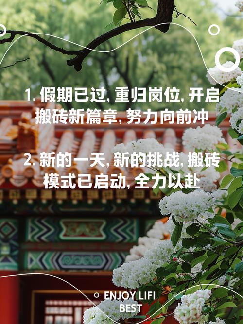如何快速掌握搬砖项目，成为新手速成达人？
