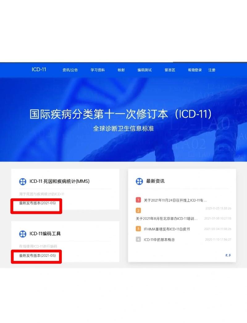 C 11是什么意思？能否详细解释一下？