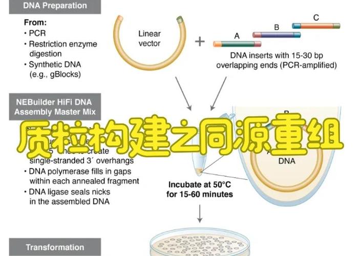 @weakify 和 @strongify 的具体实现机制是什么？