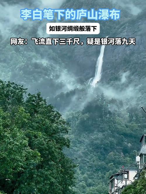 你为何跨越千山万水，只为一睹那神秘的长尾奇观？