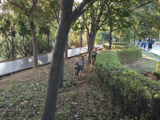 滨海路有哪些景点值得一游？