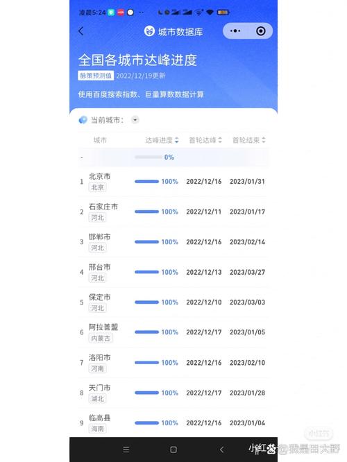 城市数据库达峰进度具体到哪个阶段或达到多少比例？
