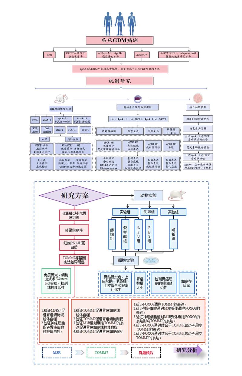 如何运用ThinkPHP6数据关系图技巧，深入理解数据间复杂关联？
