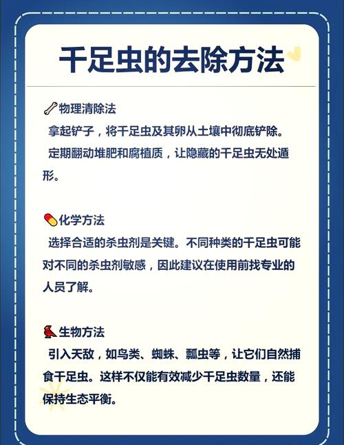 数据库如何有效应对千年虫问题可能引发的长期挑战？