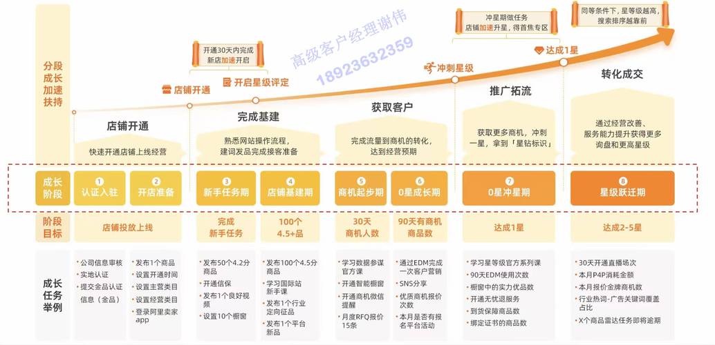 阿里独立站运营前景如何？机遇、挑战与未来路径分析？