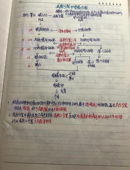 SICP第1.2.1至1.2.2节内容有哪些学习笔记？