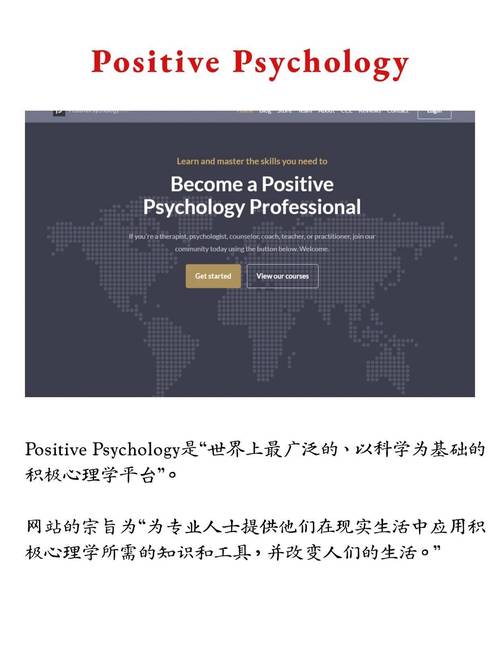 定制网站为何比模板网站更受欢迎？心理学角度揭秘其中的心理奥秘？