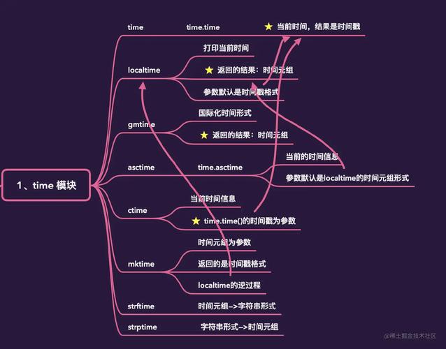 如何高效掌握Python time模块的使用技巧？