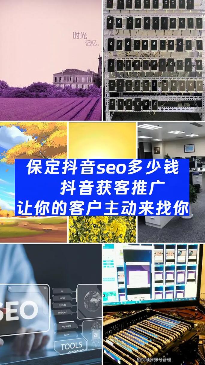 保定SEO关键词优化价格，哪家公司专业高效服务更值得信赖？