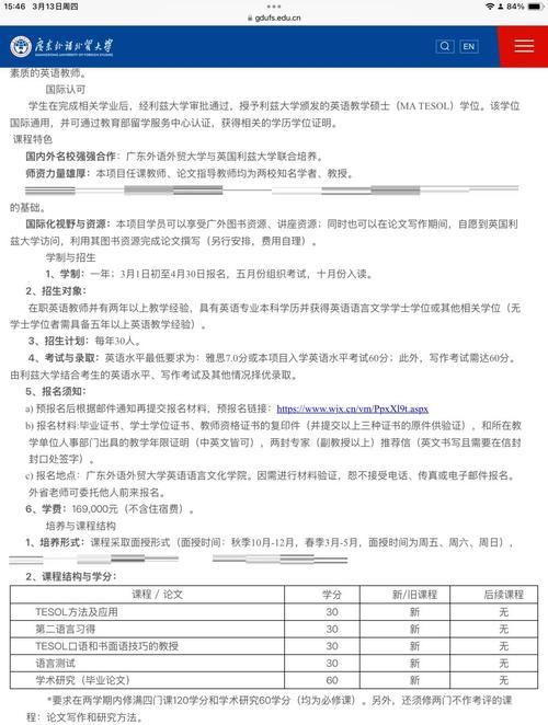 利兹与雷丁项目在哪些方面展现出显著的不同特点？