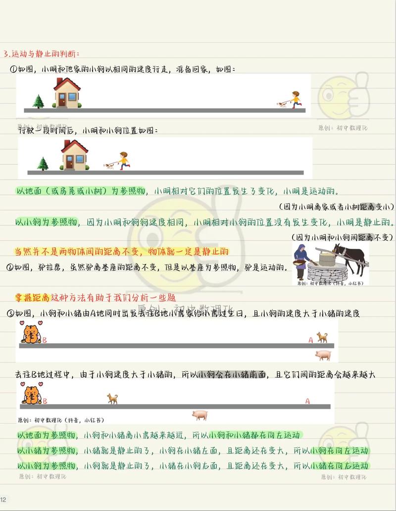 运动项目与运动内容有何根本差异？