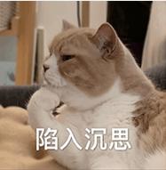 上海SEO专家，专业网站优化哪家服务最好？