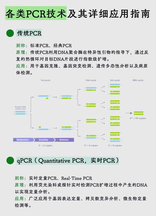 如何通过SimpleITK高效读取及存储NIfTI/DICOM格式的医学影像文件？
